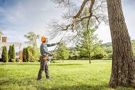 Reliable Wellston, OH Tree Care Solutions